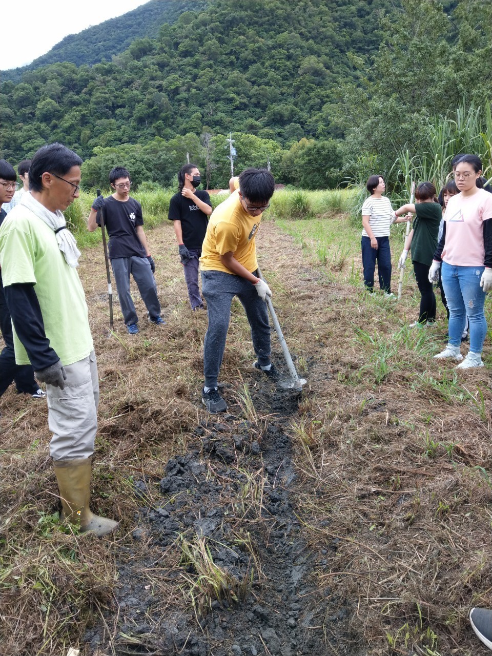 阿聰自然田-同學體驗在甘蔗園挖溝種甘蔗