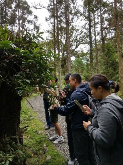 福山植物園 透過手機中的相片探索大自然