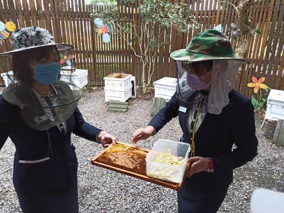 蜂采館講師展示蜂巢